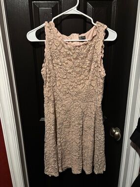 Lily Rose Blush Lace A-Line Mini Dress